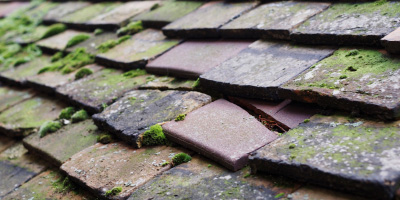 Littleworth roof repair costs